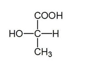 Lactic Acid